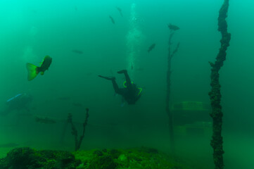SCUBA divers exploring a strange and alien underwater landscape