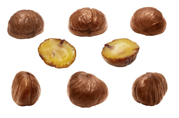 栗 むき栗 イラスト リアル 