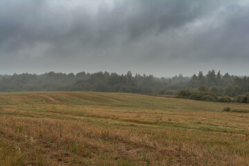 Dramatic landscape, late gloomy autumn, agricultural field after harvest with wild grass, cloudy weather with a stormy sky