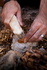 Man's hands in the field hitting an almond with a stone to open it and eat its fruit.