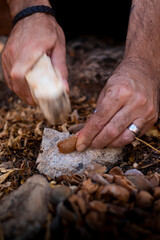 Man's hands in the field hitting an almond with a stone to open it and eat its fruit.
