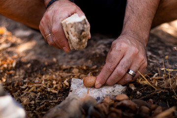 Man's hands in the field hitting an almond with a stone to open it and eat its fruit.