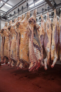 Frigor&iacute;fico Carnes 