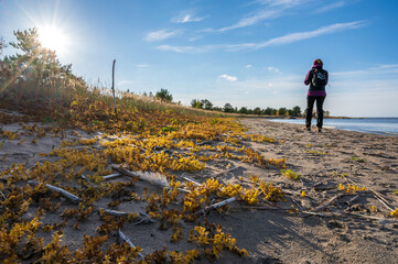 person walking on the beach in autumn