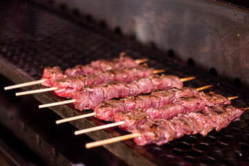 delicious meat kebab, made in the fire