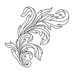 Obraz premium Decorative floral element in baroque style. Engraved black curling plant.