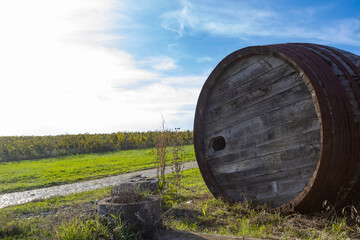 Wooden wine barrel in the vineyarrd