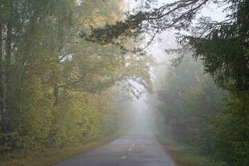 road in autumn in Belarus