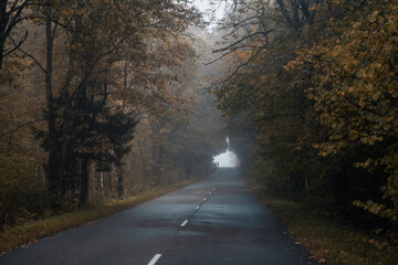 road in autumn in Belarus