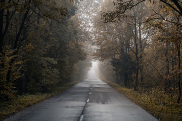 road in autumn in Belarus