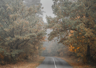road in autumn in Belarus