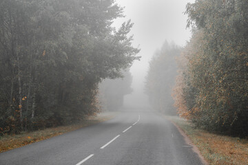 road in autumn in Belarus