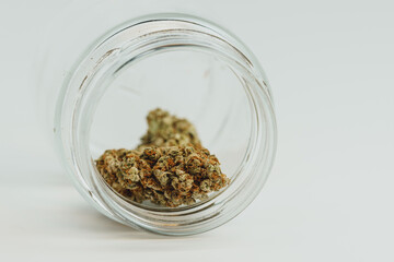 Marijuana buds on white background, close up. Cannabis is a herbal or alternative medicine