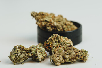 Marijuana buds on white background, close up. Cannabis is a herbal or alternative medicine