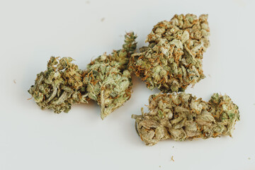 Marijuana buds on white background, close up. Cannabis is a herbal or alternative medicine