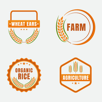 farm logo collection. rice logo. wheat logo. agriculture logo