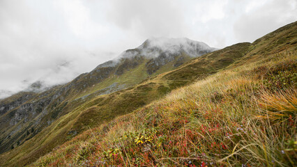Autumn bright red grass slope on a rainy day in the Austrian Alps. Austria, Salzburg, Gastein Valley