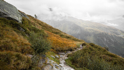 A rain-soaked path leads down the slope. September, Indian summer, yellowed grass in the Austrian Alps. 