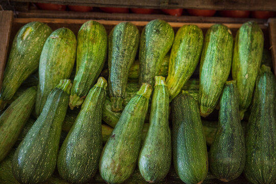 Zapallitos largos o zuchinis, en el mercado frutihort&iacute;cola 