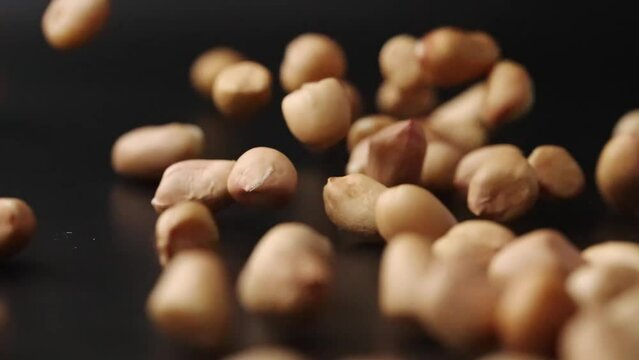 seed of peanut
