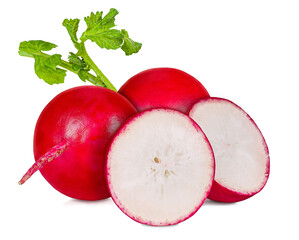Fresh Radish