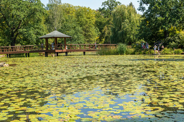 japanese park in wrocław