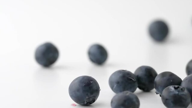 fresh blue berry