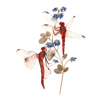 A watercolor composition of red dragonflies and a blue flower hand-painted in watercolor on a white background. Suitable for postcards, invitations, printing on clothes and designs.
