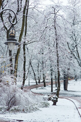 Winter seasonal outdoor background: white alley in frozen park after snowfall, snow covered trees, bushes,  lantern, winding path leading into the distance, snowy landscape, mood of december
