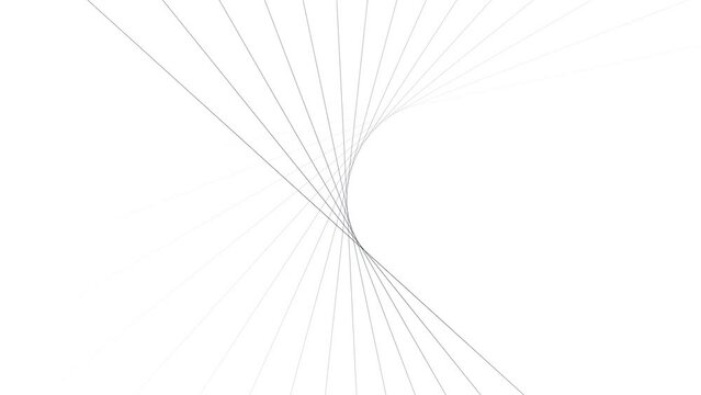 Abstract clean lines motion pattern endless loop isolated on white background.