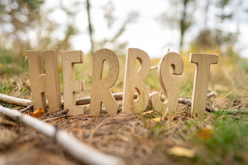 Herbst Schriftzug aus Holzbuchstaben im Wald mit verschiedenen Hintergründen.