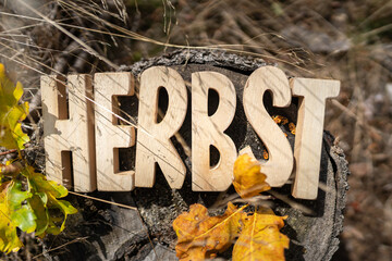 Herbst Schriftzug aus Holzbuchstaben im Wald mit verschiedenen Hintergründen.