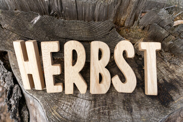 Herbst Schriftzug aus Holzbuchstaben im Wald mit verschiedenen Hintergründen.