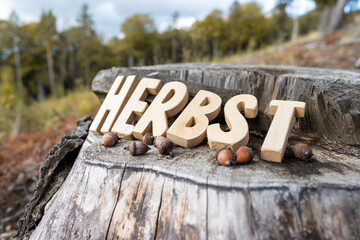 Herbst Schriftzug aus Holzbuchstaben im Wald mit verschiedenen Hintergründen.