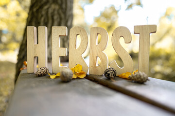 Herbst Schriftzug aus Holzbuchstaben im Wald mit verschiedenen Hintergründen.