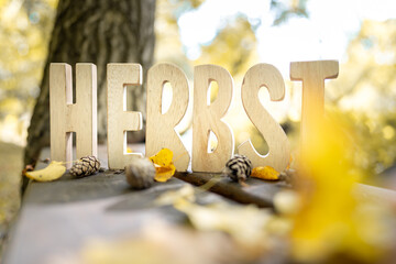 Herbst Schriftzug aus Holzbuchstaben im Wald mit verschiedenen Hintergründen.