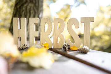 Herbst Schriftzug aus Holzbuchstaben im Wald mit verschiedenen Hintergründen.