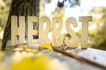 Herbst Schriftzug aus Holzbuchstaben im Wald mit verschiedenen Hintergründen.