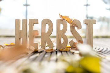 Herbst Schriftzug aus Holzbuchstaben im Wald mit verschiedenen Hintergründen.