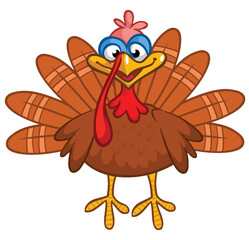 Cartoon happy cute thanksgiving turkey bird. Vector illustration isolated. Design for Thanksgiving Day