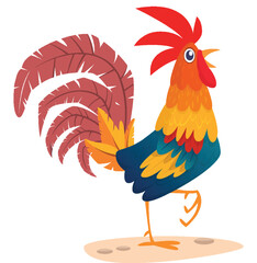 Cartoon rooster with bright feathers on the tail and a red crest. Vector illustration