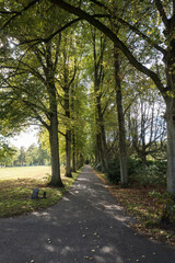 Fototapeta na wymiar A path in park De Goffert (Goffertpark) on a sunny afternoon in early autumn