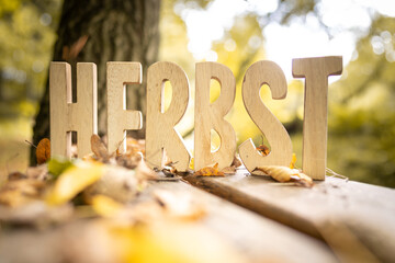 Herbst Schriftzug aus Holzbuchstaben im Wald mit verschiedenen Hintergründen.