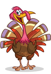 Cartoon happy cute thanksgiving turkey bird. Vector illustration isolated. Design for Thanksgiving Day
