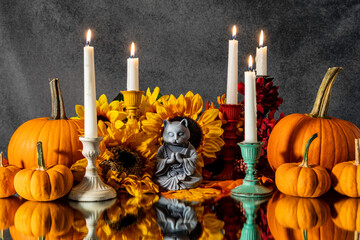 fall cat Buddha on mirror with pumpkins sunflowers and lighted candles with grey background