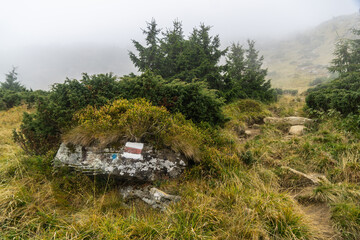 Foggy day in the autumn mountains