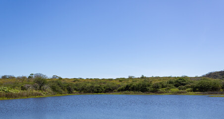 Caatinga landscape in Brazil. water and blue sky composed of cerrado and native vegetation