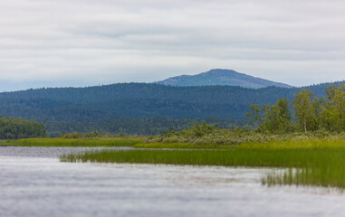Fototapeta na wymiar Summer Landscapes overlooking the river. Kola Peninsula, Arctic Circle, Russia