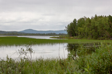 Landscapes overlooking the river. Kola Peninsula, Arctic Circle, Russia