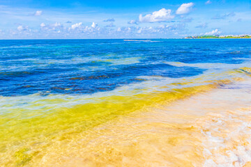 Amazing tropical beach and caribbean sea clear turquoise water Mexico.